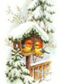 Little Birds House in Snow